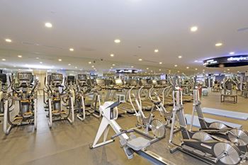 Large fitness center with cardio and strength equipment